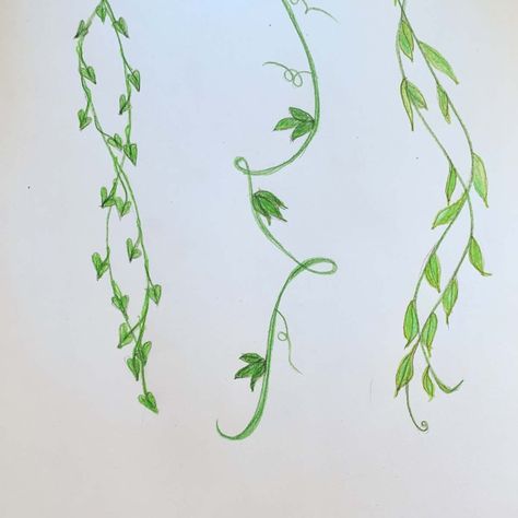 Drawing For Room Wall Art, Twisting Vines Drawing, Swirly Vines Drawing, Leafs Drawings Simple, Acrylic Vines Painting, Flowers On A Vine Painting, How To Draw Vines And Leaves, Draw Vines And Leaves, Vines With Flowers Drawing Simple