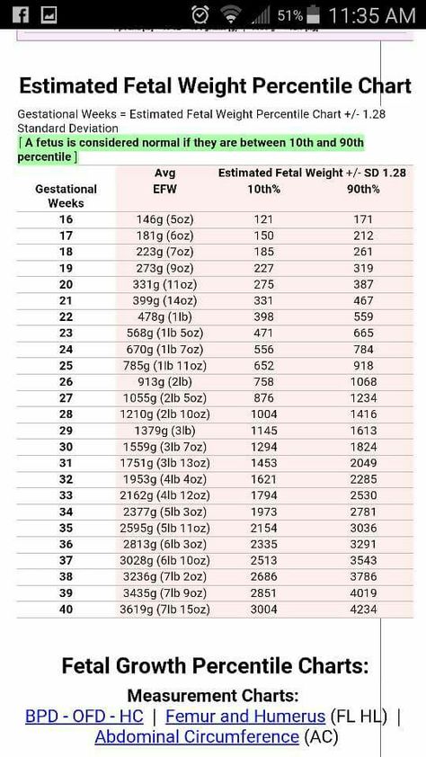 Arteries Anatomy, Baby Registry Guide, Pregnancy Preparation, Baby Weeks, Weight Chart, Gestational Age, Weight Charts, Happy Pregnancy, Standard Deviation