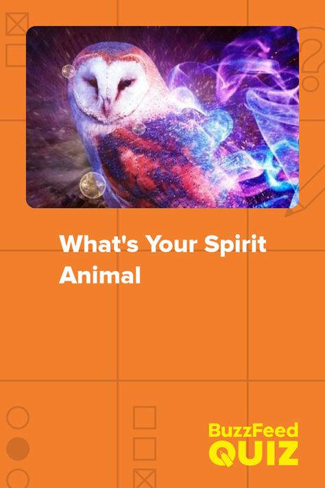 What's Your Spirit Animal What Is My Spirit Animal, Spirit Animal Test, What's My Spirit Animal, Native American Spirit Animals, Spirit Animal Quiz, Whats Your Spirit Animal, Find Your Spirit Animal, Native American Animals, Quizzes Buzzfeed