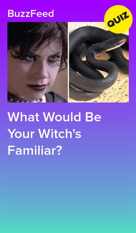 Witch Familiar, Witch's Familiar, Fun Personality Quizzes, Alice In Wonderland Artwork, Animal Quiz, Witches Familiar, Wonderland Artwork, Quizzes For Fun, Quizes Buzzfeed