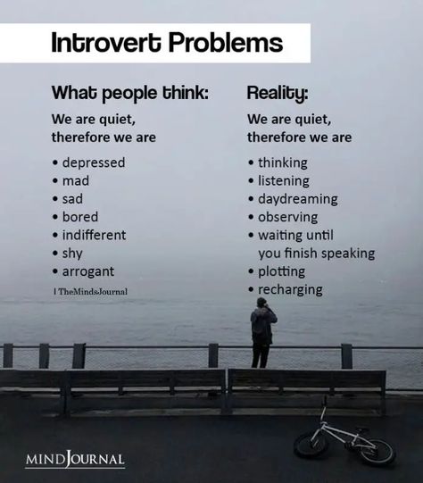 Humour, Introvert Problems, Introvert Vs Extrovert, Introvert Love, Introvert Personality, Quiet Person, Introverts Unite, Introvert Quotes, Introvert Humor