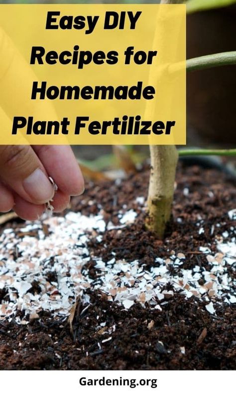 You may be surprised to find there are many garden fertilizer sources in and around your home. Many waste products make great fertilizers! Diy Fertilizer For Plants, Bone Meal For Plants, Home Made Fertilizer, Homemade Plant Fertilizer, Garden Fertilizers, Homemade Fertilizer, Interior Gardens, Metabolism Reset, Natural Plant Fertilizer