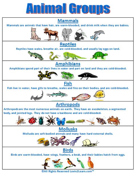 Super Subjects - Super Science - Life Science - Animal Groups - Animal Groups Chart Animal Classification Chart, Animals Classification, Classification Of Animals, Animal Chart, Animals Group, Groups Of Animals, Classifying Animals, Grade 2 Science, Group Of Animals