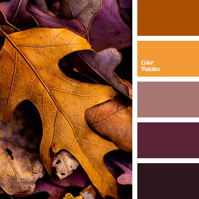 beige-brown, brown color, fall color palette, fall colors, fall palette, leaves color, orange color, purple colors, reddish brown, shades of brown. In Color Balance, Palettes Color, Wedding Burgundy, Orange Shades, Scheme Color, Fall Palette, Color Schemes Colour Palettes, Fall Color Palette, Colour Pallette