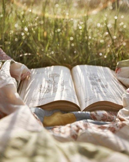 Ok im not the only one who loves read their books outside then Bookstagram Reels, Lev Livet, Illustration Book, Adored Vintage, A Perfect Day, Foto Inspiration, Reading Nook, I Love Books, Book Aesthetic