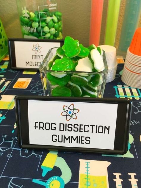 Frog Dissection Gummies | Mad Scientist Party Ideas Science Candy Bar, Mad Science Party Food, Science Theme Food, Science Themed Birthday Party Food Ideas, Science Lab Birthday Party, Mad Science Party Decorations, Mad Scientist Party Food, Mad Science Birthday Party, Biology Themed Party