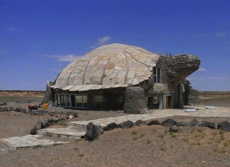 Turtle House, Tortoise House, Architecture Cool, Architecture Unique, Crazy Houses, Sou Fujimoto, Best Funny Photos, Unusual Buildings, Unusual Homes