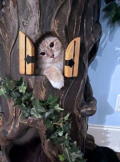 The Ultimate Cat Trees Cottagecore Cat Tree, Fantasy Cat Tree, Forest Cat Tree, Pet Diys, Cottagecore Cat, Luxury Cat Tree, Unique Cat Trees, Fantasy Cat, Cat Climbing Tree