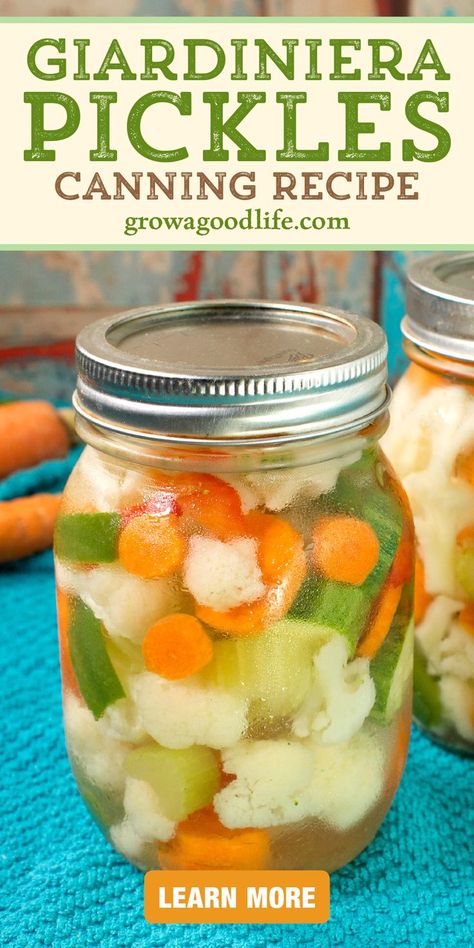 Giardiniera Recipe For Canning, Canning Pickled Veggies, Gardenia Pickles, Hot Pickled Vegetables, How To Pickle Veggies, Pickled Mixed Vegetables Recipes For Canning, Canning Celery Recipes, Canned Giardiniera Recipe, Dill Pickled Vegetables