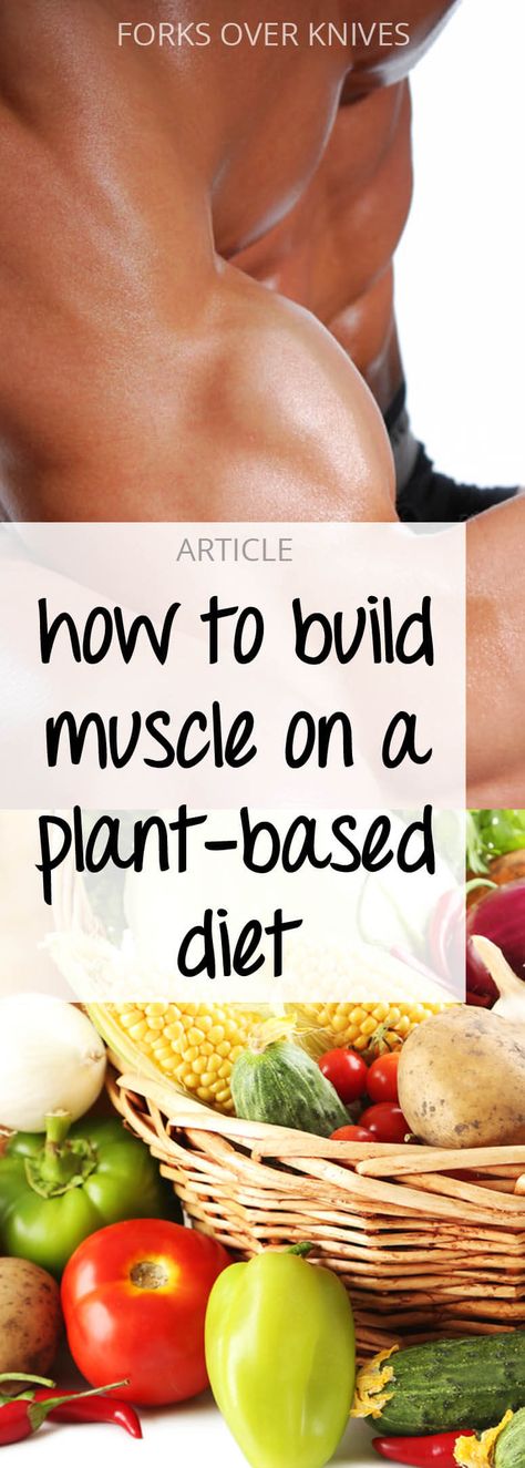 How to Build Muscle on a Plant-Based Diet Vegetarian Bodybuilding, Bodybuilding Plan, Muscle Diet, Vegan Muscle, Muscle Building Foods, Workout Diet Plan, Bodybuilding Recipes, Nutrition Sportive, Vegan Bodybuilding