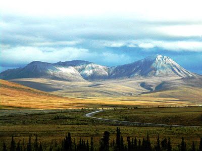 Ultima Thule: Inuvik on the Mackenzie delta, Northwest Territories (NWT) of Canada Nature, North West Territories Canada, Romanticizing Work, Canada In Summer, Dempster Highway, Places To Visit In Canada, Canada Summer, Summer Hike, Future Photos