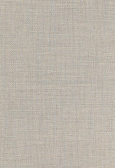 Aqua Chatelet Weave | Schumacher Fabric Fabric Glass Texture, Rendering Textures, Fabric Glass, Couch Fabric, Aqua Fabric, Schumacher Fabric, Texture Mapping, Robert Allen, Fabric Texture