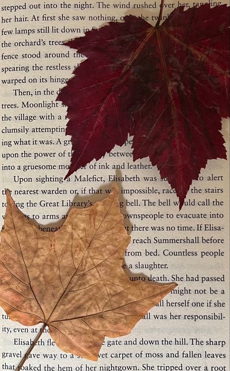 pretty fall leaves on the page of a book. fall aesthetic and reading aesthetic. Western Fall Aesthetic, Autumn Aesthetic Leaves, Autumn Leaves Aesthetic, Fall Leaves Aesthetic, Kazuha Aesthetic, Fall Academia, Autumn Aesthetic Cozy, Autumn Poetry, Autumn Core