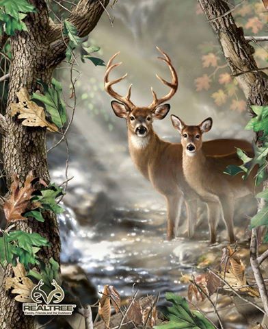 Buck & Doe Deer Images, Deer Quilt, Wildlife Quilts, Deer Artwork, Deer Fabric, Deer Photos, Deer Pictures, Buck And Doe, Deer Painting