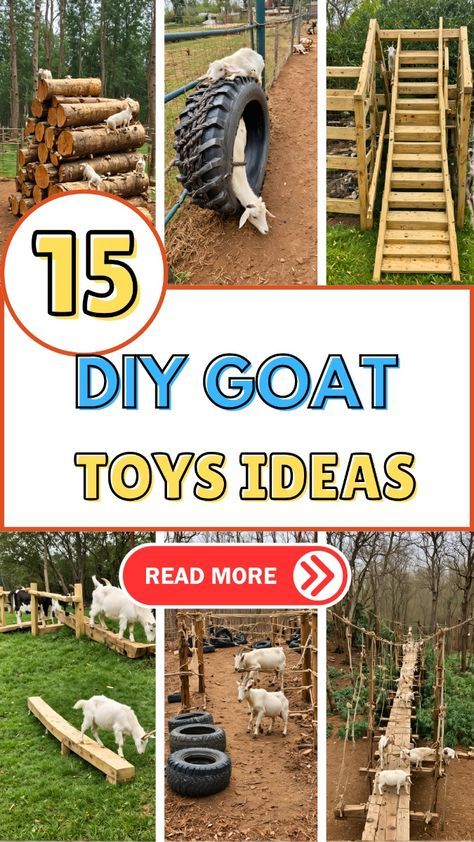 Discover fifteen easy and fun DIY goat toy ideas that will keep your goats entertained and active. Perfect for goat owners looking to create cost-effective and engaging toys for their herd! Things For Goats To Play On, Diy Goat Seesaw, Diy Toys For Goats, Hay Manger For Goats, Toys For Goats Diy, Goat Pallet Playground, Keeping Goats Cool In Summer, Goat Area Ideas, Enrichment For Goats