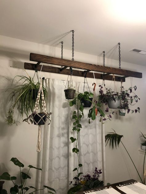 Blanket Ladder Plant Hanger, Ways To Hang Plants From Ceiling, Hang Ladder From Ceiling, Hanging Ladder With Plants, Ladder Hanging Plants, Ladder Hanging From Ceiling, Ladder Plant Hanger, Hanging Decoration Ideas, Hang Plants From Ceiling