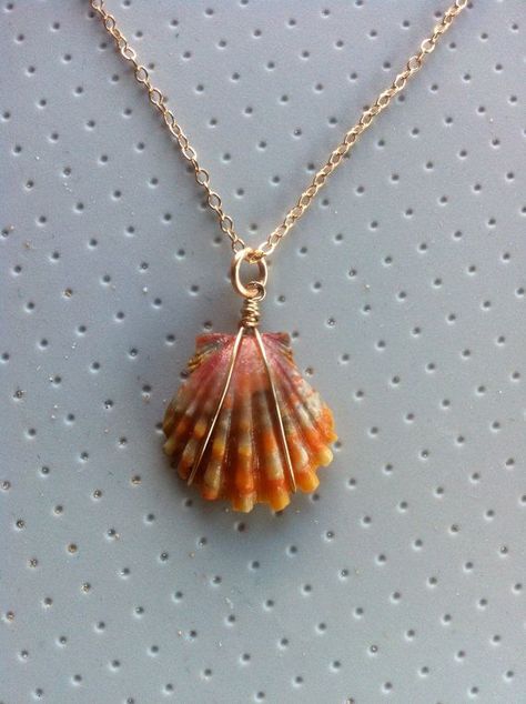 Seashell Crafts, Wire Shell Jewelry, Sea Shells Necklace, Sea Shell Necklace Diy, Kalung Manik-manik, Sunrise Shell, Shell Crafts Diy, Seashell Jewelry, Dope Jewelry