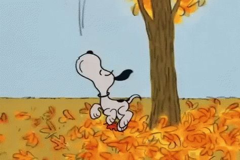 Charlie Brown GIF - Charlie Brown Snoopy - Discover & Share GIFs Snoopy Autumn, Fall Snoopy, Snoopy Videos, Gifs Snoopy, Blowing Leaves, Snoopy Gif, Falling Gif, Great Pumpkin Charlie Brown, Charlie Brown Halloween