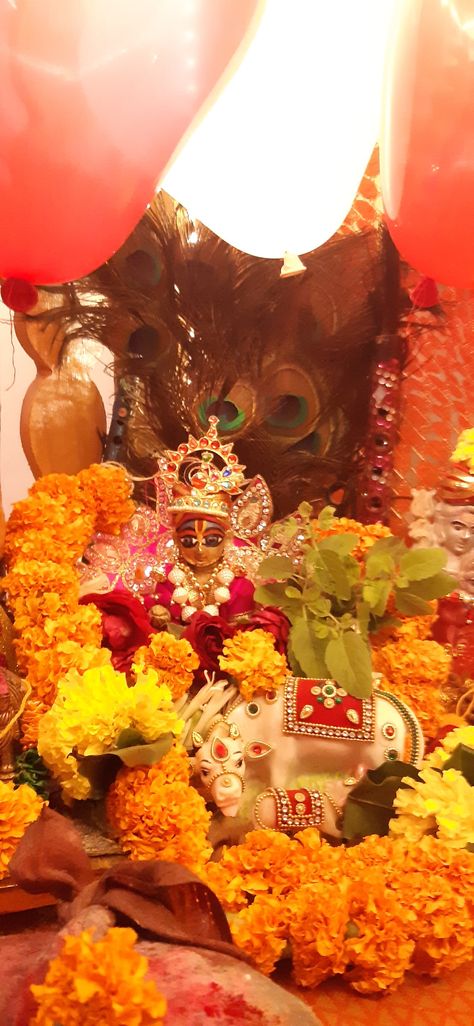 Shri krishna janmashtami Janmashtami Pics Of Krishna, Krishna Janmashtami Pics, Janmashtami Snapchat Story, Krishna Janmashtami Aesthetic, Janmashtami Instagram Story, Krishna Snapchat, Krishan Janamasthmi Images, Janmashtami Snap, Janmashtami Pics