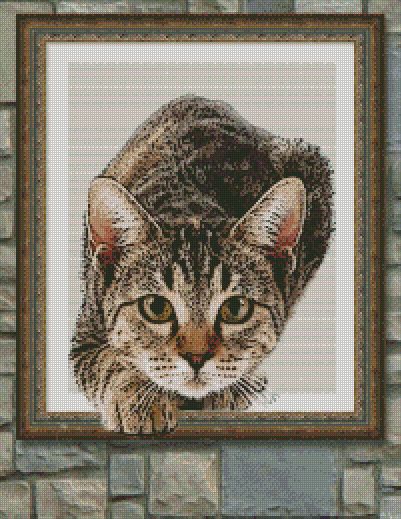 a cat out of the frame, 40 colors cross stitch, 200 x 269 stitches. code a1450 Patchwork, Cat Silhouette Cross Stitch Pattern, Cross Stitch Cat Pattern, Cat Cross Stitch Pattern Free, Pixel Art Cross Stitch, Cat Cross Stitch Patterns, Cat Cross Stitch Charts, Cats Cross Stitch, Cross Stitch Cat