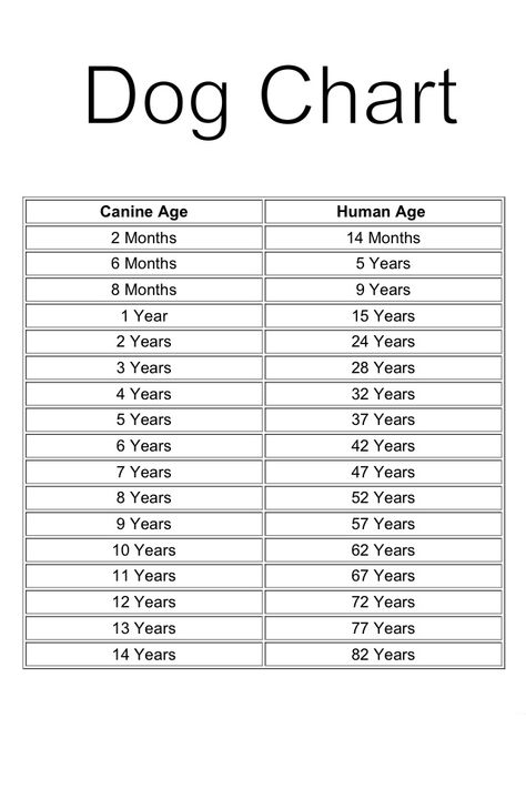 Age Chart for Dogs Dog Ages Chart, Dog Petting Chart, Play This Song For Your Dog, Dog Years Chart, Dog Age Chart, Cat Age Chart, Dog Chart, Dog Body Language, Dog Health Tips