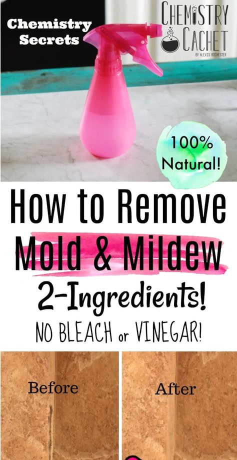 The Best Way to Remove and Clean Mold & Mildew with 2 Ingredients. NO bleach or vinegar! Completely natural and very effective for all parts of your home! This homemade cleaning spray will disinfect the area naturally while killing mold or mildew in your bathroom. Molde, How To Remove Mold, Bathroom Mold, Remove Mold, Homemade Toilet Cleaner, Mildew Remover, Clean Baking Pans, Mold In Bathroom, Cleaning Painted Walls