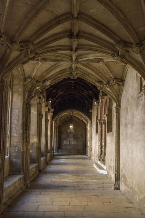 Harry Potter Filming Locations in Oxford | Oxford Summer Courses Oxford Harry Potter Locations, Harry Potter Academia, Oxford Harry Potter, Oxford Summer, Harry Potter Film Locations, Christ Church Oxford, Harry Potter Locations, Harry Potter Filming Locations, Harry Potter Travel