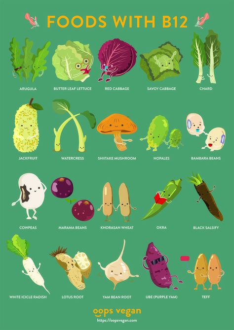 Vegan Food Chart, Vegan Information, Vegan B12 Sources, Cabbage Nutrition Facts, Vegan Infographics, Vegetarian Facts, Vegan B12, Graphic Design Character, Vegan Protein Sources