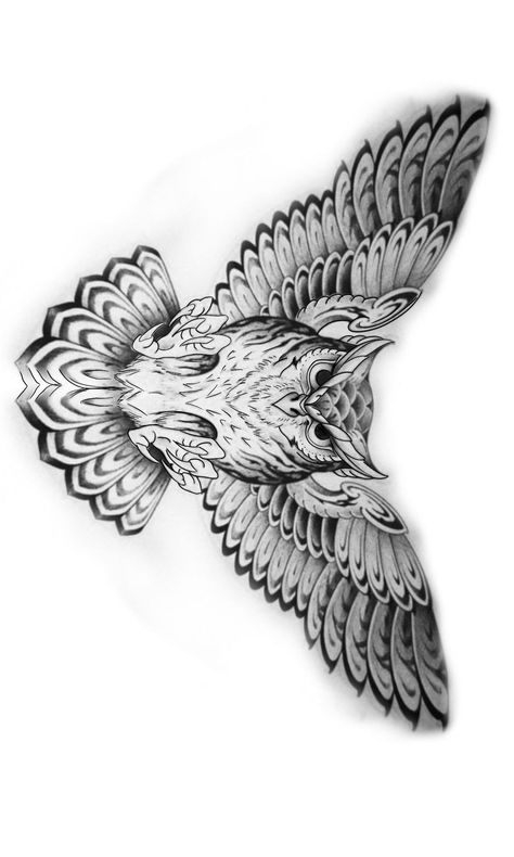 Stomach Tattoo Designs Men, Sketches Small, 666 Tattoo, Aj Tattoo, Mens Owl Tattoo, Tattoo Line Art, Adler Tattoo, 777 Tattoo, Owl Tattoo Drawings