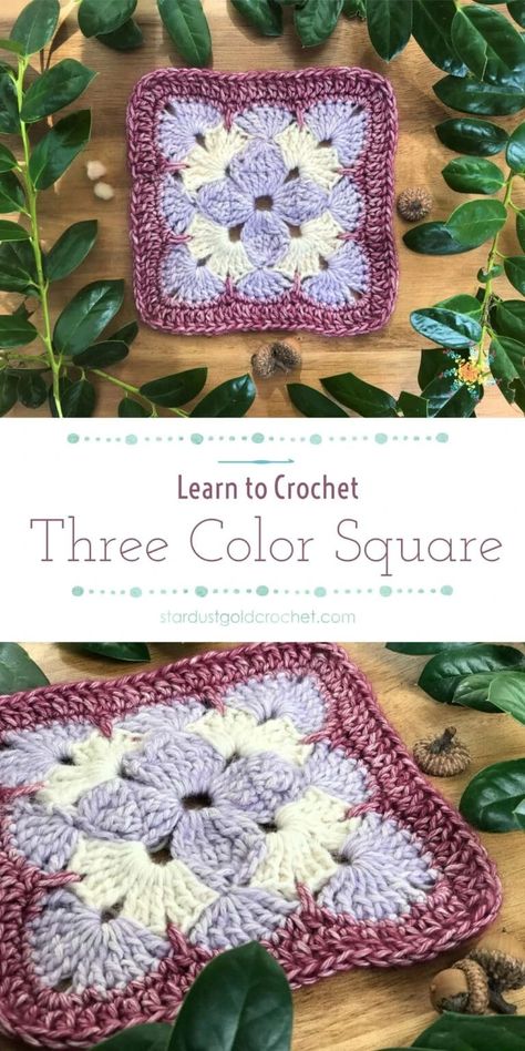 Three Color Square | Beginner Crochet Video Tutorial | Stitch Explorers Series - Stardust Gold Crochet Motifs Granny Square, Granny Square Haken, Gold Crochet, Confection Au Crochet, Granny Square Crochet Patterns, Granny Square Crochet Patterns Free, Crochet Geek, Crochet Motif Patterns, Beginner Crochet