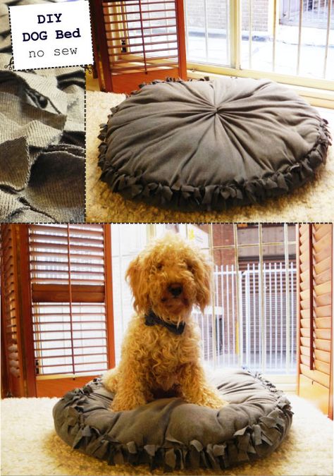 Create this dog bed out of old t-shirts or polar fleece. | 31 Easy DIY Projects You Wont Believe AreNo-Sew Kat Diy, Clean Clothes, Diy Dog Bed, June Bug, Animal Projects, Diy Dog, No Sew, Crafty Craft, Diy Stuffed Animals