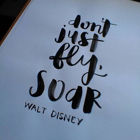 Don’t just fly, soar. -Walt Disney | brush lettering | hand lettering | inspiration | motivation | chrystalizabeth Quotes About Flying, Inspirational Team Quotes, Flying Quotes, Flight Quotes, Cute Short Quotes, Wings Quotes, Grad Quotes, Fly Quotes, Disney Quote