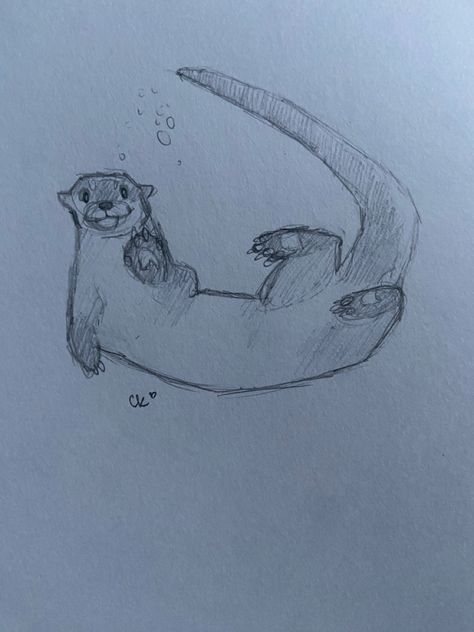 Just a quick little otter sketch for fun Otter In Water Drawing, Cute Water Animals Drawings, Otter Sketch Easy, Otter Drawing Reference, How To Draw A Otter, Drawings Ideas Animals, Sketch Book Animals, Orca Whales Drawing, Simple Otter Drawing