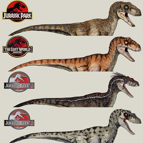 Noah Meskimen no Instagram: “Jurassic Favorites: Velociraptor ——————————————————————————— The “Velociraptors” are some of the most important and iconic dinosaurs in the…” Velociraptor Jurassic Park, Jurassic World Hybrid, Blue Jurassic World, Jurassic Park Poster, Dino Rey, Jurassic World 2, Dinosaur King, Dinosaur Sketch, Jurrasic Park