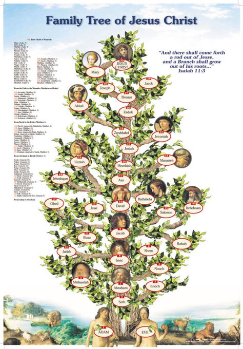 JESUS FAMILY TREE RECORDS – GOD'S HOTSPOT Old Testament Family Tree, Jesus Family Tree, Lineage Of Jesus, Bible Family Tree, Bible Genealogy, Genealogy Of Jesus, Family Tree With Pictures, Family Tree Poster, Bible Mapping