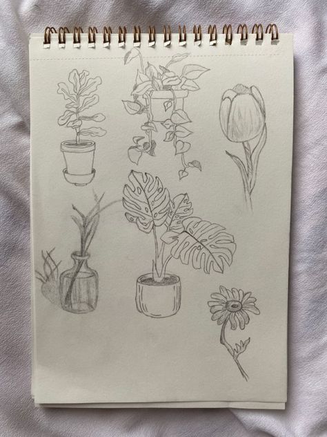 Plants Art Reference, How To Sketch Plants, Art Sketches Plants, Sketch Book Plants, Plant Sketchbook Page, Simple Plant Sketch, Sketchbook Ideas Plants, Simple Plant Drawing Ideas, House Plant Sketch
