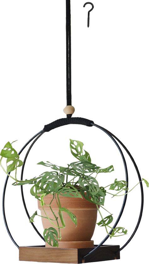 PRICES MAY VARY. Material: The ring is made of iron and the wood base is made of pine wood. Strong and durable but lightweight. Size: The hanger rope length is about 30 inches, the ring diameter is about 12.59 inches, and the wood base length is 5.83 inches. Adjustable length. Design: Simple and elegant hanging plant shelf adds a touch of greenery to any room. Great for cozy home decor. Gift Idea: Unique hanging plant hanger makes a great gift for plant lovers. Suitable for birthdays, housewarmi Corner Plant Hanger, Hanging Window Decor, Hanging Plants Kitchen Window, Hanging Plant Holders, Hanging Plant Shelf, Hanging Indoor Plants, Hanging Plant Hanger, Plants Home Decor, Wall Plant Hanger