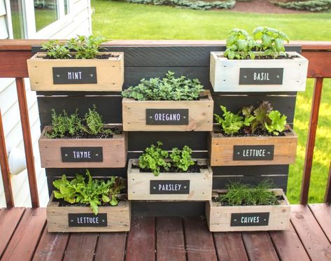 Herb Wall Planter – RUGGY DIY Vinyl Rack, Potager Palettes, Herb Garden Wall, Kitchen Terrace, Herb Garden Planter, Tanaman Indoor, Outdoor Herb Garden, Herb Boxes, Herb Wall