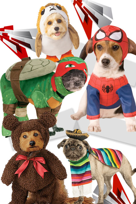Fancy Dress for your Dog Dog Parties, Dog Fancy Dress, Eye Bleach, Fancy Dog, Fancy Dress Outfits, Fancy Dress Costume, Packaging Designs, Dog Products, Dog Party