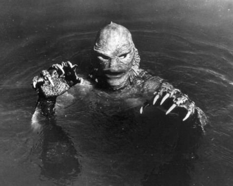 Creature from the  black  lagoon Universal Horror, Night Creatures, Universal Studios Monsters, Classic Monster Movies, The Last Man On Earth, Lake Monsters, Horror Vintage, Creature From The Black Lagoon, The Black Lagoon