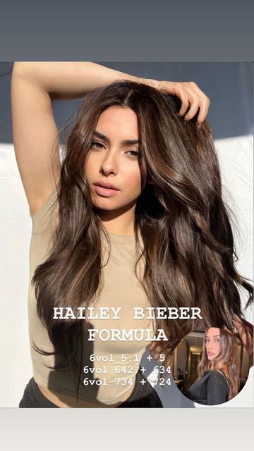 Fall Hair Extension Colors, Balayage, Brunette Hair For Brown Eyes, Hailey Bieber Brown Hair Formula, Brunette Hailey Bieber, Hailey Bieber Dark Brown Hair, Rich And Warm Brunette, Hailey Bieber Gloss Hair, Glaze Colors For Hair