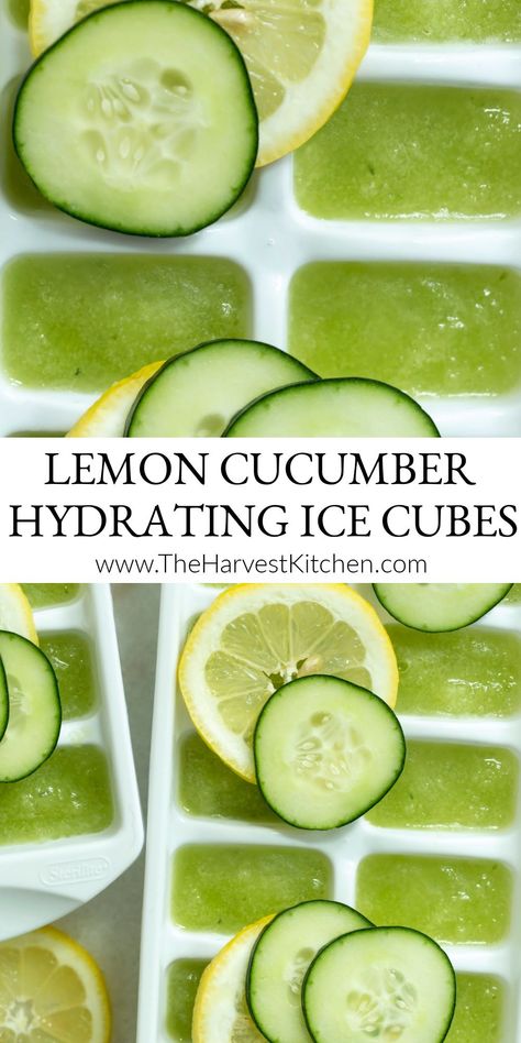 Make spa-like cucumber lemon water (also called cucumber detox water and ice flavored water) by adding these Hydrating Lemon Cucumber Ice Cubes (flavor ice) to your water daily for the added nutritional, hydrating and weight-loss benefits. Lemon Water Ice Cubes, Lemon Ice Cubes For Water, Cucumber Basil Water, Herb Ice Cubes, Flavored Ice Cubes For Water, Lemon Cucumber Recipes, Cucumber Ice Cubes, Benefits Of Cucumber Water, Lemon Cucumber Water