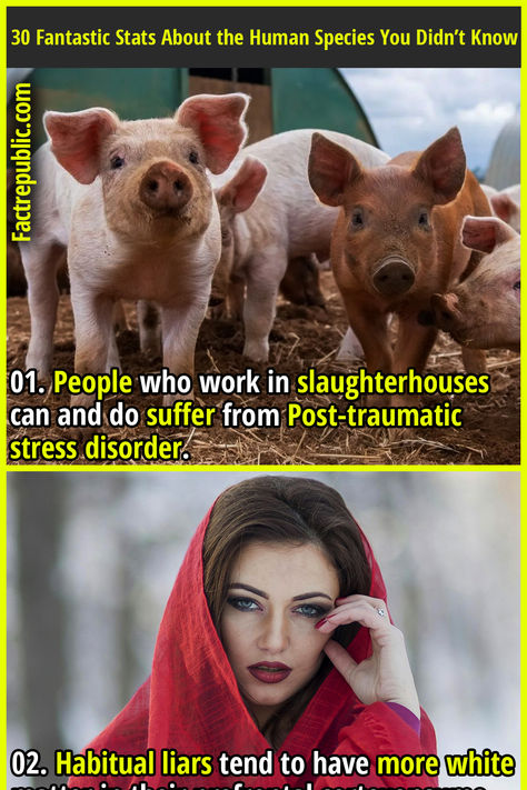 01. People who work in slaughterhouses can and do suffer from Post-traumatic stress disorder. Interesting Facts About Humans, Human Body Facts, Facts About Humans, Fact Republic, Fetal Position, Post Human, True Interesting Facts, Creepy Facts, History Facts Interesting