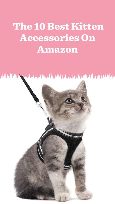 From kitten toys to ID tags, these are the cutest kitten accessories on Amazon that are also super useful for new kitten parents. Kitten Must Haves, Kitten Necessities, New Kitten Checklist, Aesthetic Cat Supplies, Kitten Room Ideas, Kitten Items, Best Kitten Toys, Kitten Essentials, Kitten Ideas