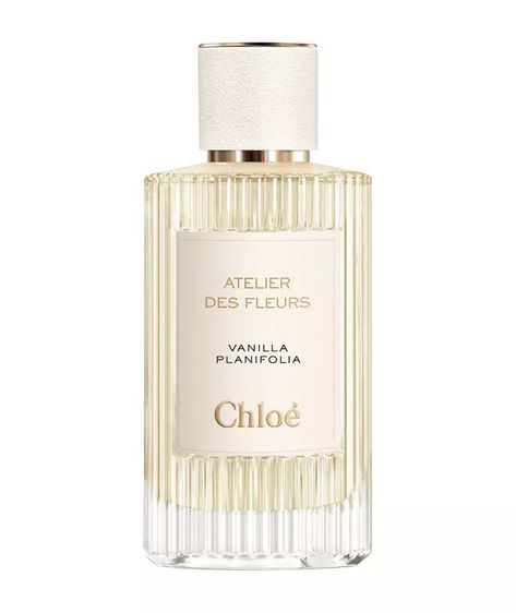 Chloe Fragrance, Chloe Perfume, Rosa Damascena, Vanilla Perfume, Perfume Collection Fragrance, Vanilla Fragrance, Perfume Scents, Perfume Lover, Luxury Perfume