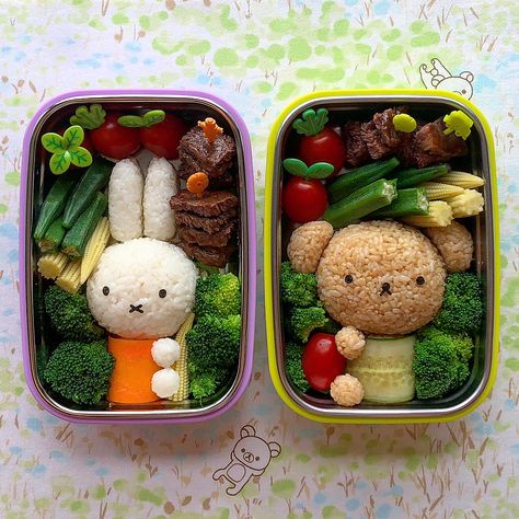 Have you seen these cute lunches on Instagram? Find out all about bento boxes here: Bento Box Lunch Diet, Bento Box Rice Ideas, Ceramic Lunch Box Bento, Kawaii, Cute Japanese Bento Boxes, Bento Boxes Cute, Quick And Easy Bento Box Ideas, Yummy Lunch Box Ideas, Bento Box Gift Ideas