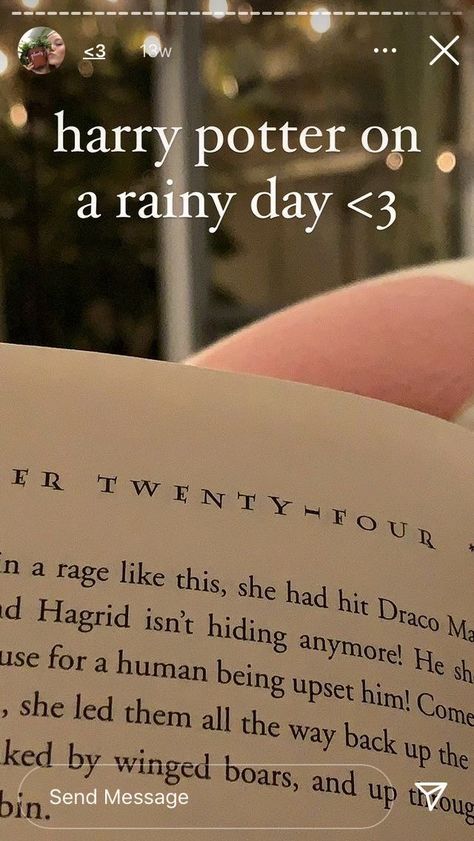 Harry Potter Books, Leather Scented Candle, Aesthetic Harry Potter, Harry Potter Book, Harry Potter Stories, Reading Motivation, Book Instagram, Good Quotes For Instagram, Instagram My Story