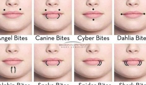 Lip piercing names Lip Piercing Names, Piercing Names, Piercings Industrial, Piercings Nose, Upper Lip Piercing, Mouth Piercings, Spider Bite Piercing, Homemade Mouthwash, Hand Protection