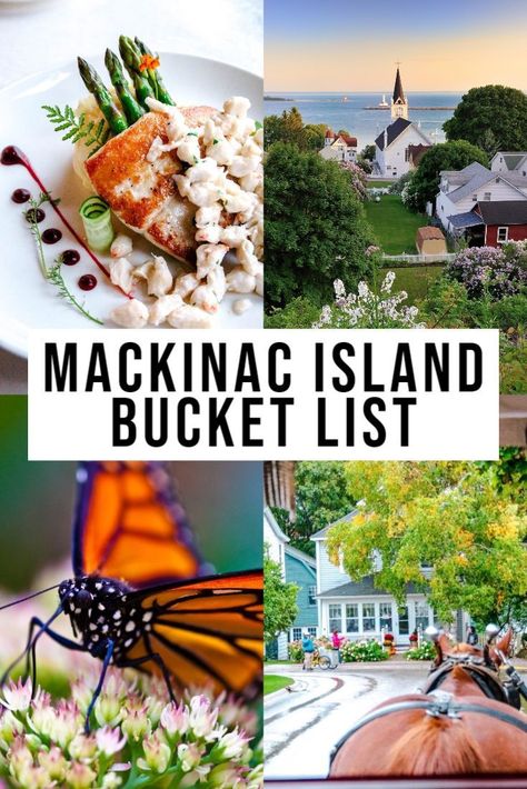 Island Bucket List, Summer Michigan, Michigan Fall, Bucket List Items, Mackinac Island Michigan, Michigan Road Trip, Usa Destinations, Michigan Vacations, Midwest Travel