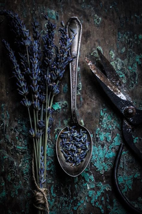 Herbal Aesthetic Wallpaper, Modern Herbalist Aesthetic, Witchy Product Photography, Herb Aesthetic, Dark Botanical Aesthetic, Apothecary Wallpaper, Herbology Aesthetic, Herbal Background, Herbalist Aesthetic